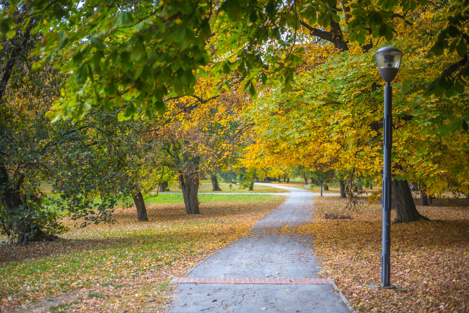 Čarobna jesen: Naša Miroslava Novak prošetala je čakovečkim parkom i snimila šarenilo jesenskih boja. Predivno, zar ne? (y) :-)