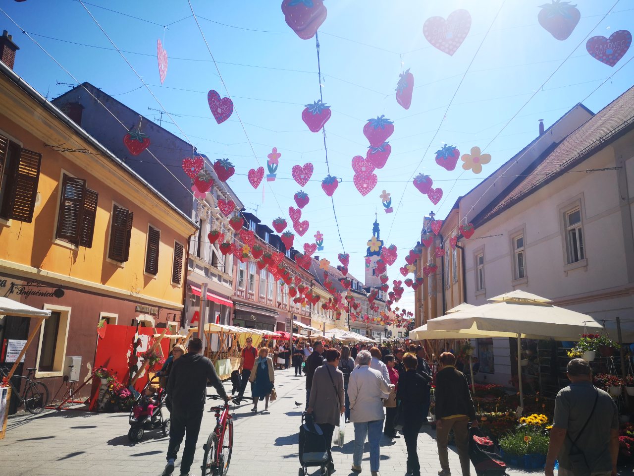 Festival cvijeća, jagoda i tradicije u Čakovcu