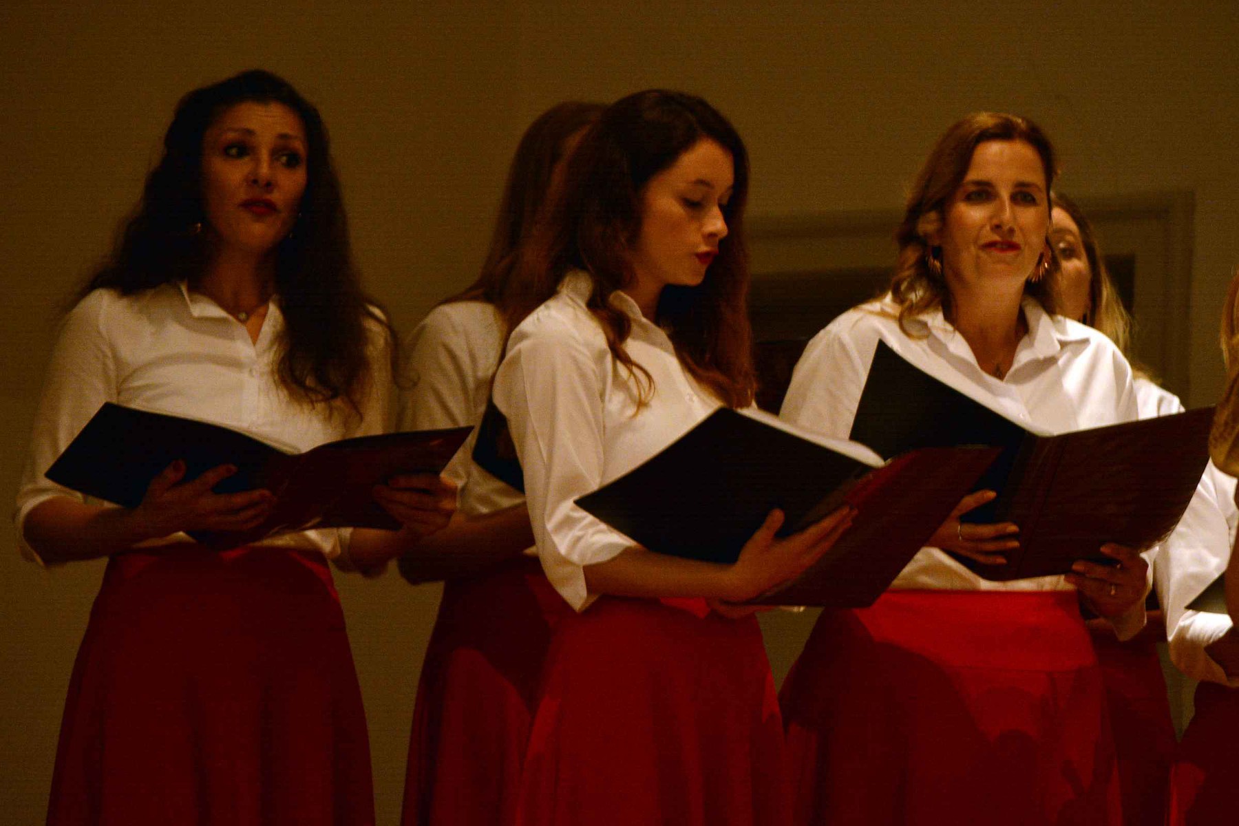 PREDIVNA SUBOTNJA VEČER Koncert Ansambla Pučpuljike