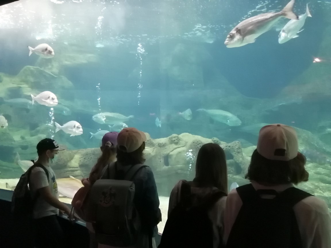 Uspomena za cijeli život: Učenici II. OŠ Čakovec u Grčkoj