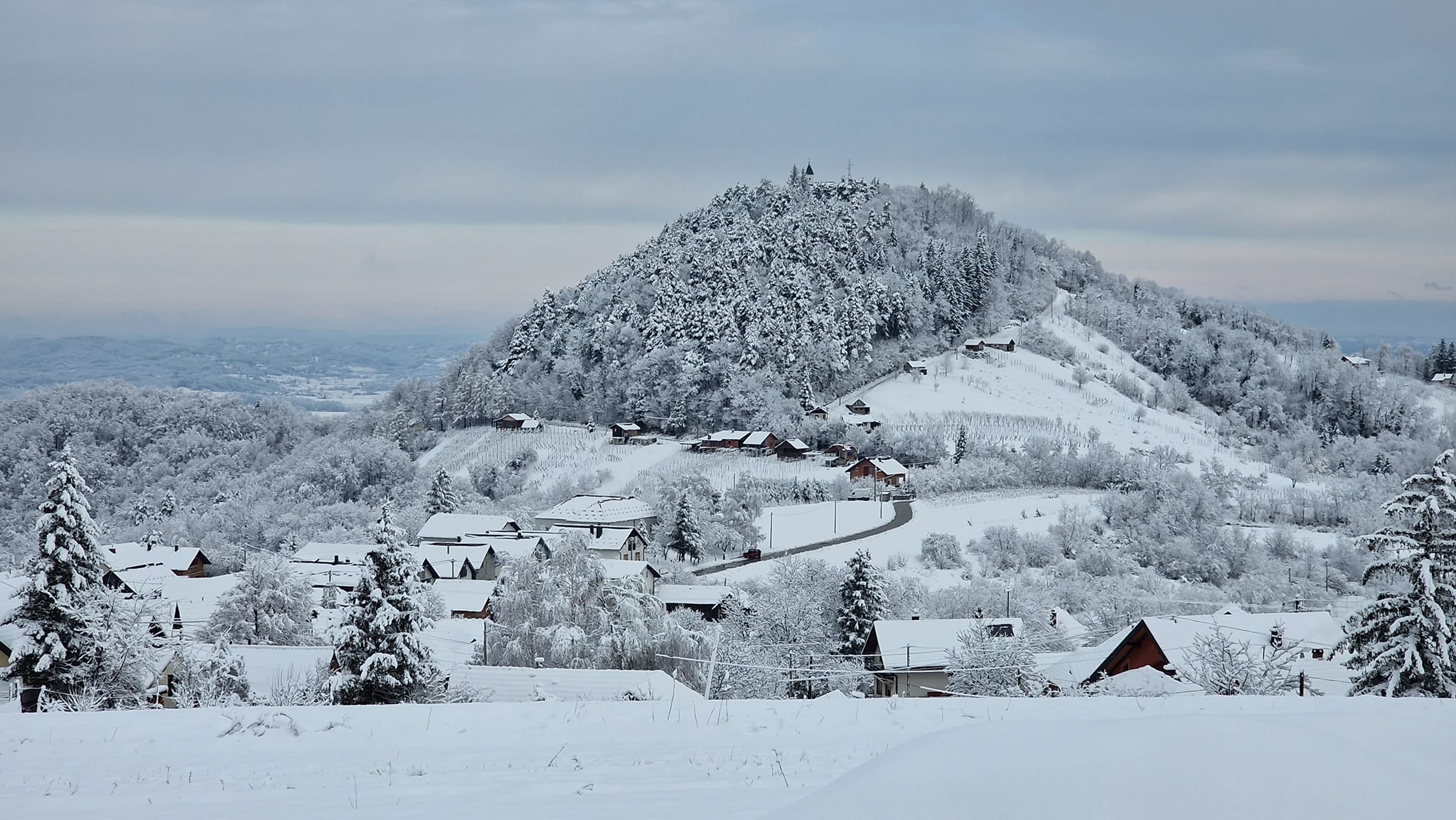 Image 5616141 (auto)