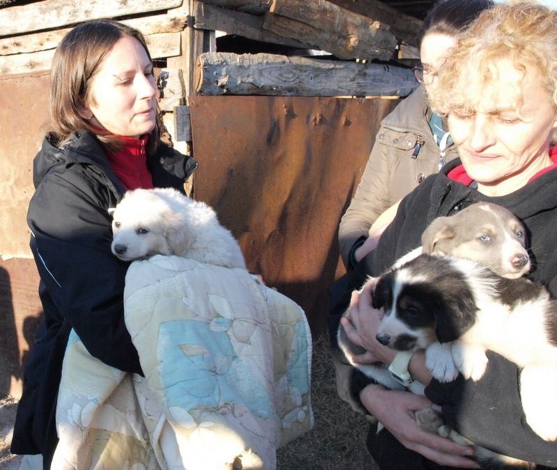 2b5e386c1655698542acfcc09894d5d