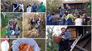 Branje kukuruza u Domašincu Branje kukuruza u Domašincu