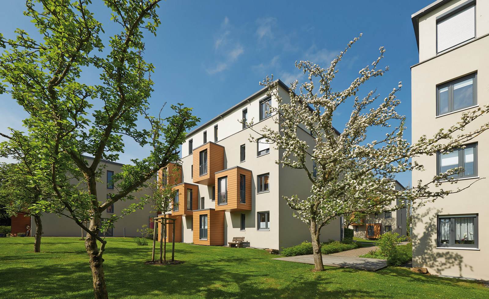 PROFINE 2019 Kako izabrati najbolje prozore?