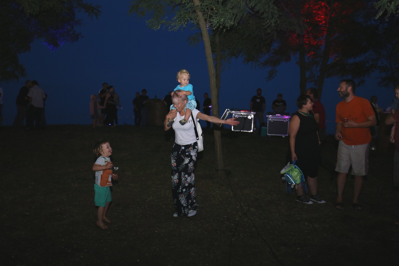 Odličan koncert Vatre u predivnom ambijentu Mađerkinog brega