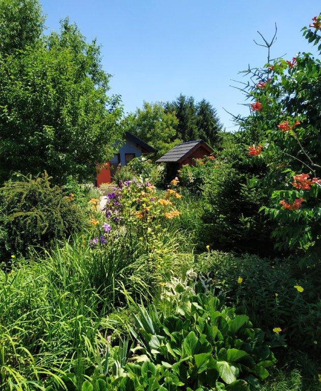 Biljno carstvo Vanje i Alena u Šenkovcu: Njihov vrt ‘Četiri godišnja doba’ mami poglede