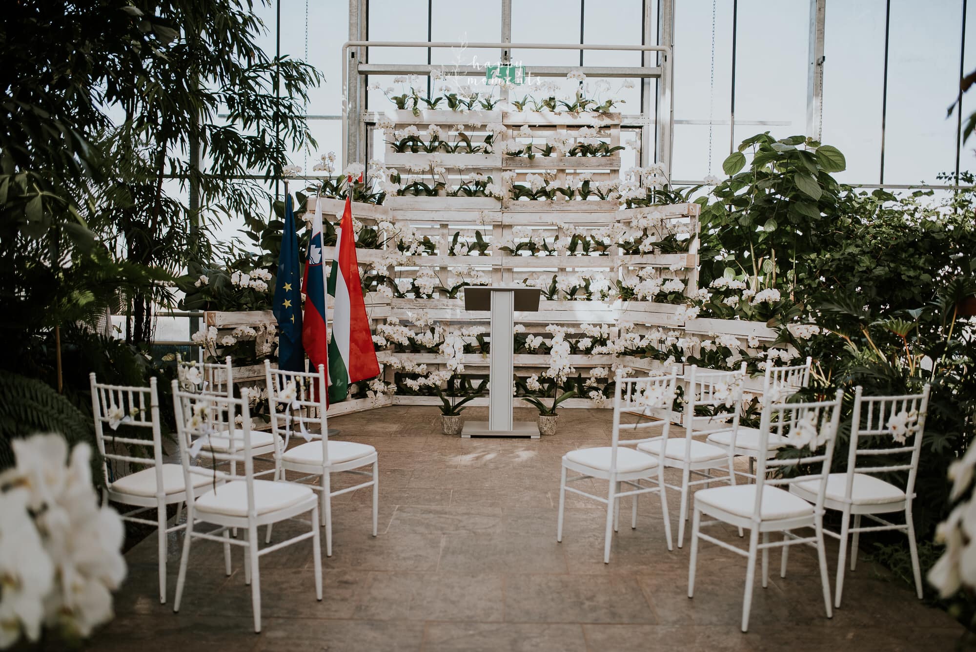 Image 5818459 (auto)