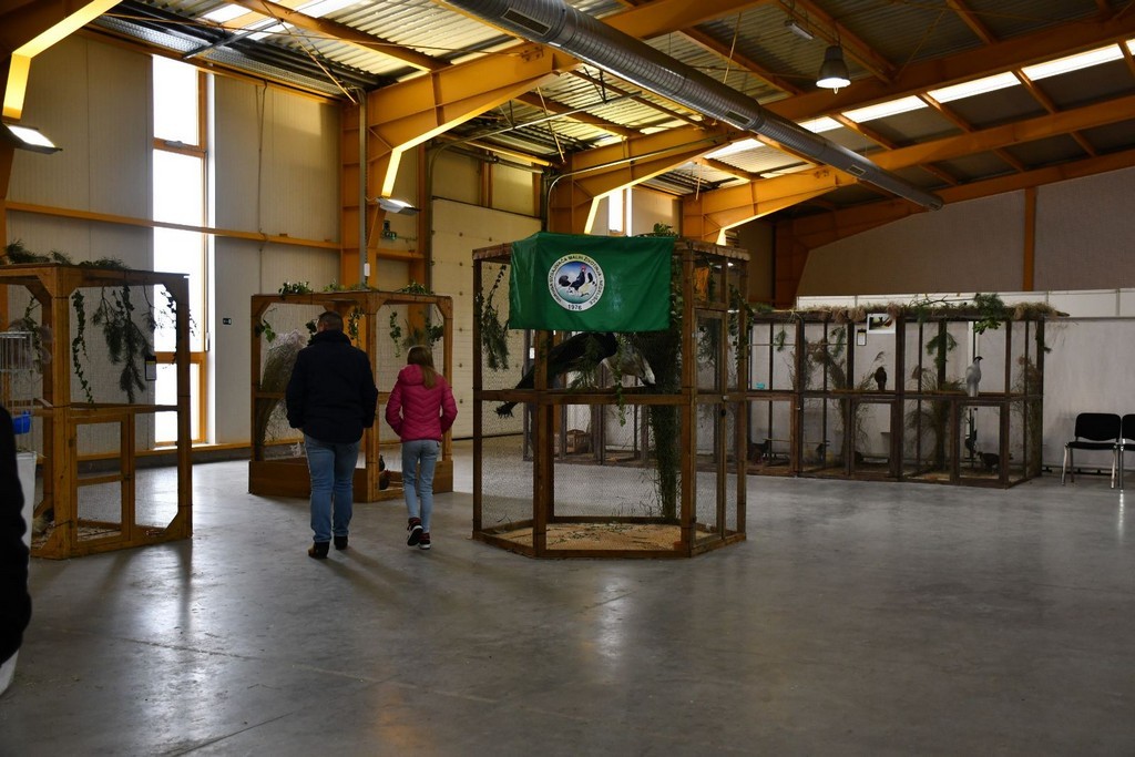 IZLOŽBA MALIH ŽIVOTINJA Izloženo preko tisuću malih životinja vrhunskih uzgajivača iz Hrvatske, ali i šire IZLOŽBA MALIH ŽIVOTINJA Izloženo preko tisuću malih životinja vrhunskih uzgajivača iz Hrvatske, ali i šire