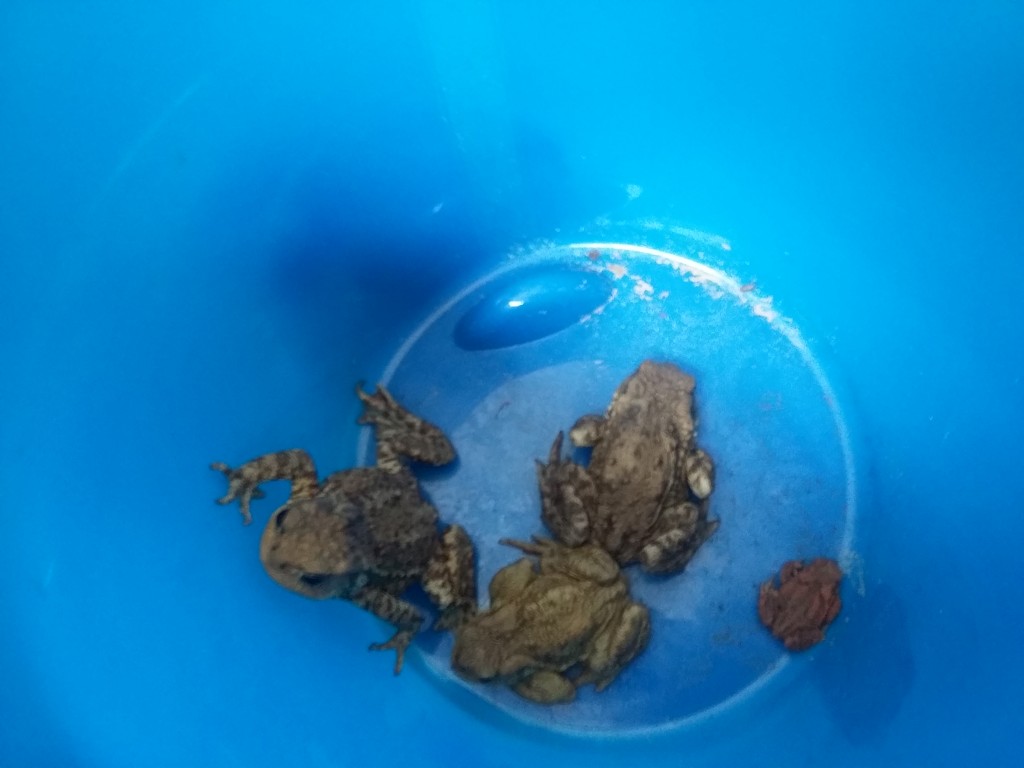 20160330094329407114