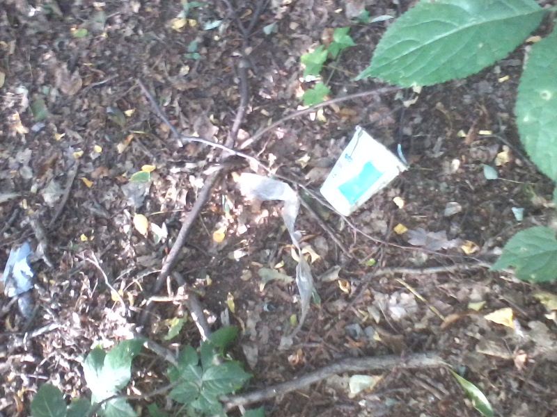 fotografija0034946158