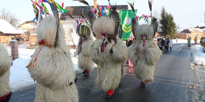 img7237298066 img7237298066