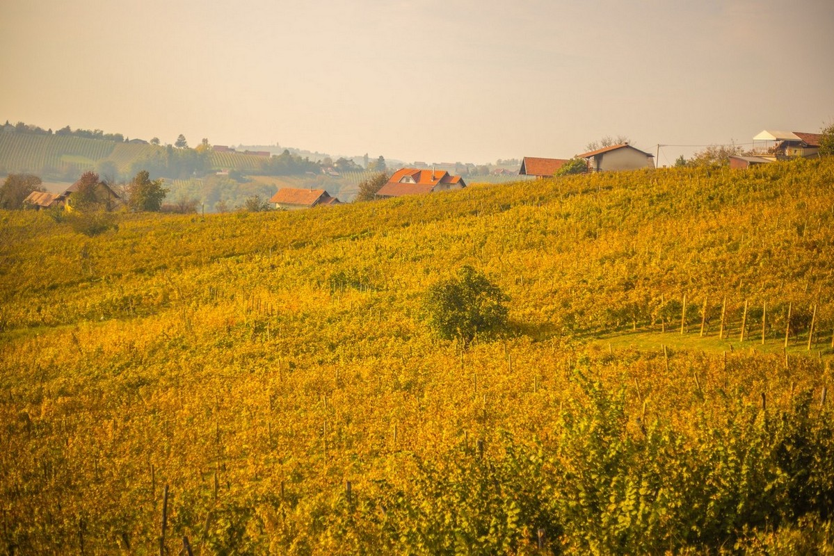 Jesenska rapsodija kroz objektiv Miroslave Novak