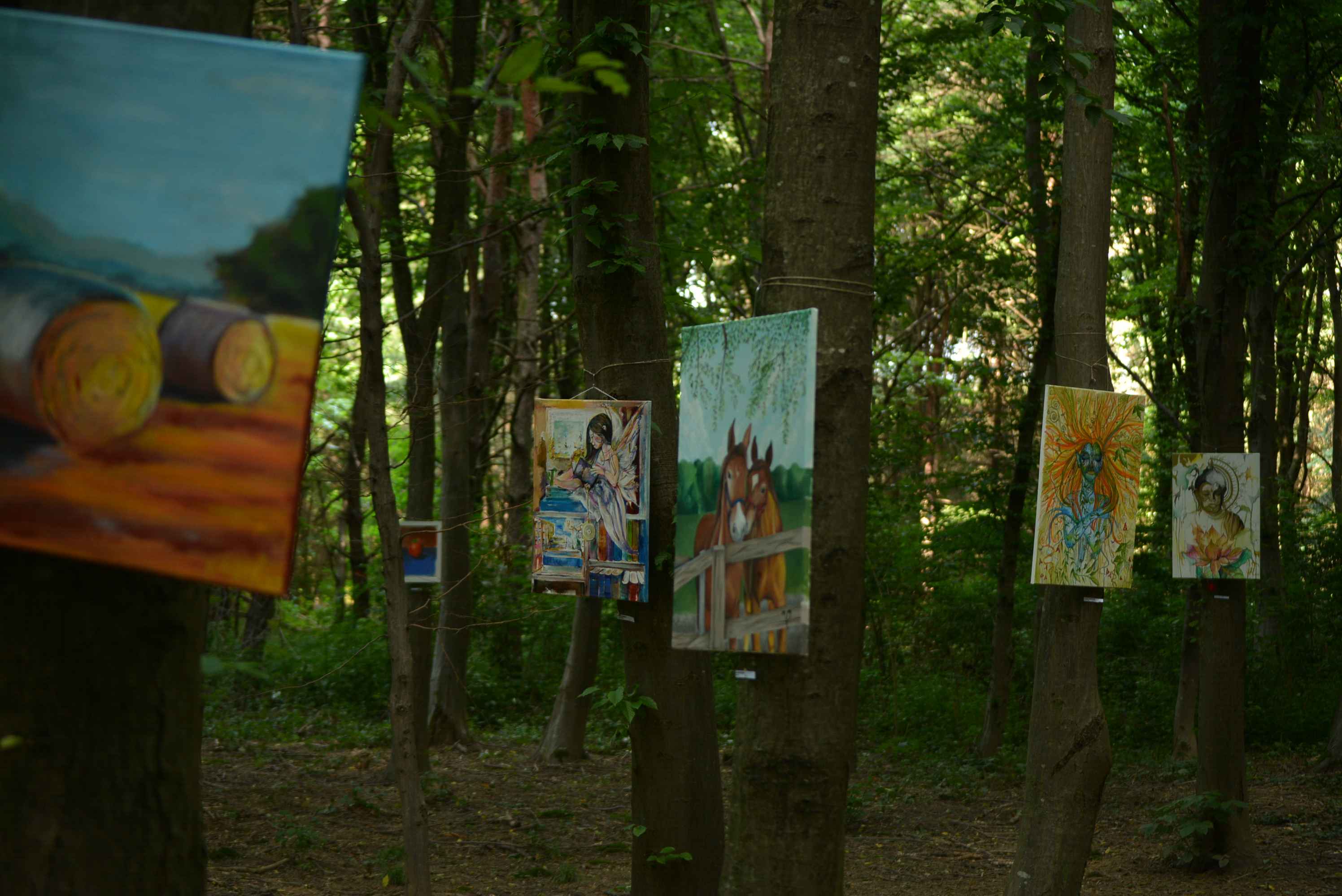 FOTO I VIDEO Predivna umjetnička idila na Art forestu u Nedelišću