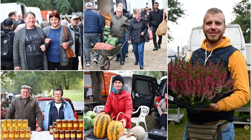 FOTO S dolaskom hladnijih dana povećan interes za kupnju drva za ogrjev FOTO S dolaskom hladnijih dana povećan interes za kupnju drva za ogrjev