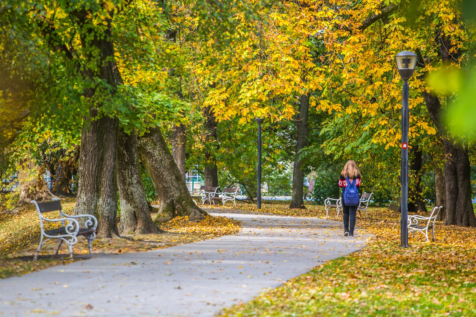 Čarobna jesen: Naša Miroslava Novak prošetala je čakovečkim parkom i snimila šarenilo jesenskih boja. Predivno, zar ne? (y) :-)