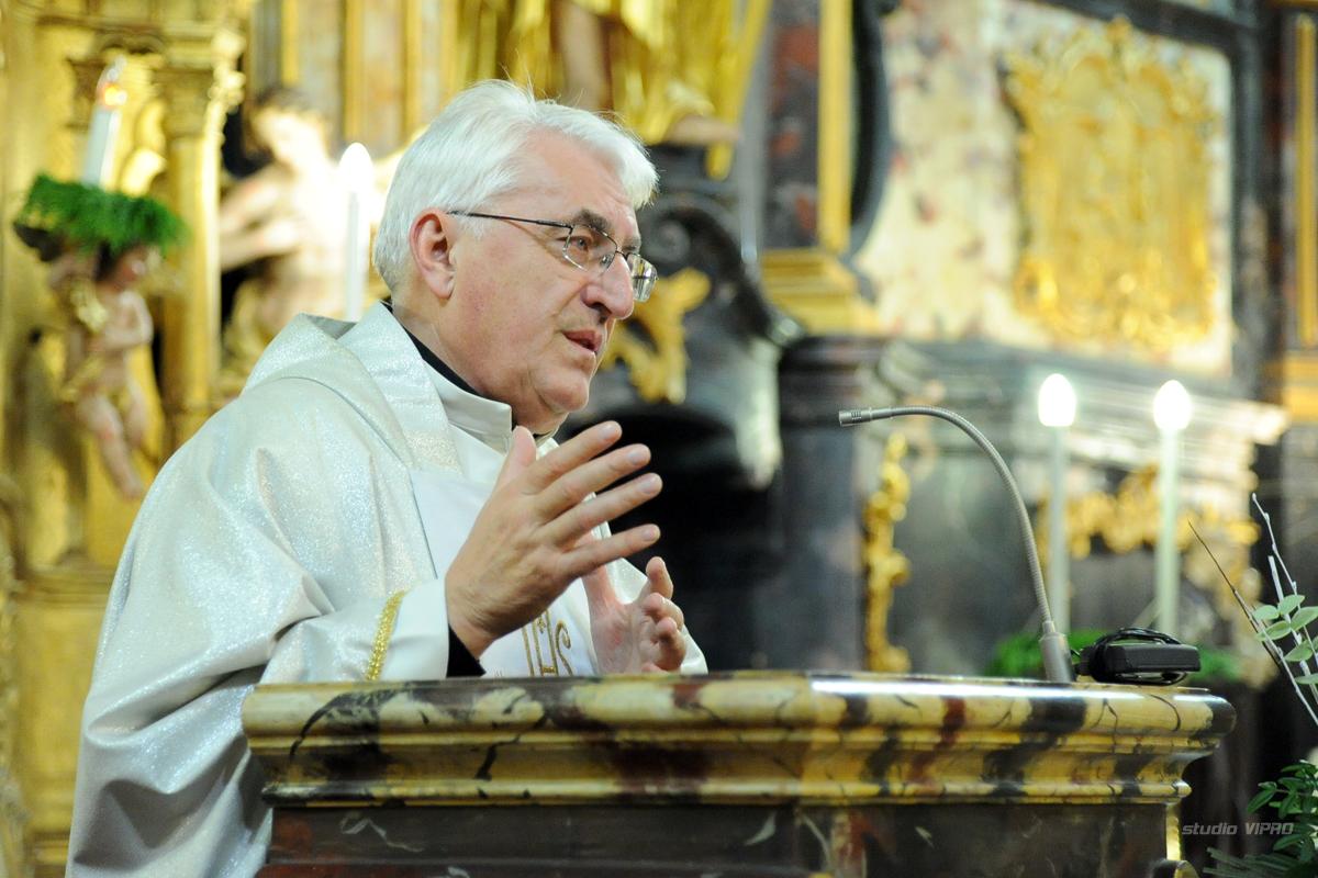 266810749dsc3515466238