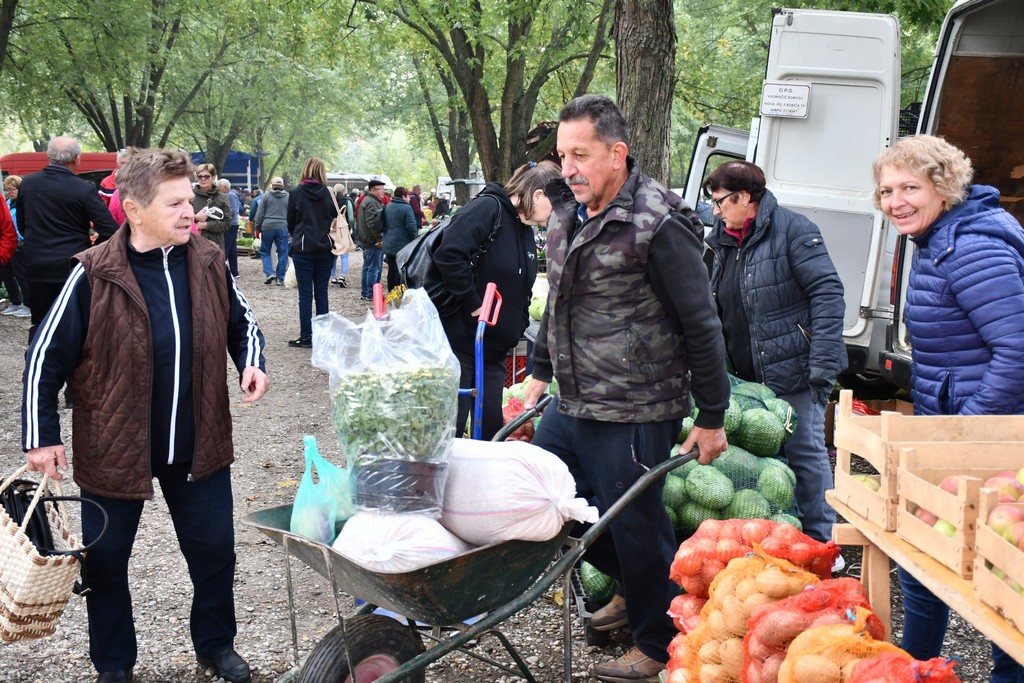 FOTO S dolaskom hladnijih dana povećan interes za kupnju drva za ogrjev