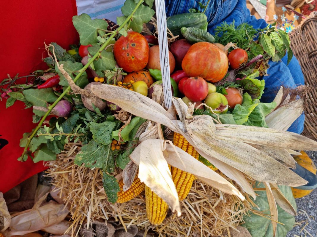 FOTO Dani kruha u Strahonincu: Kruh, peciva, odlični kolači i ostale delicije oduševili posjetitelje FOTO Dani kruha u Strahonincu: Kruh, peciva, odlični kolači i ostale delicije oduševili posjetitelje