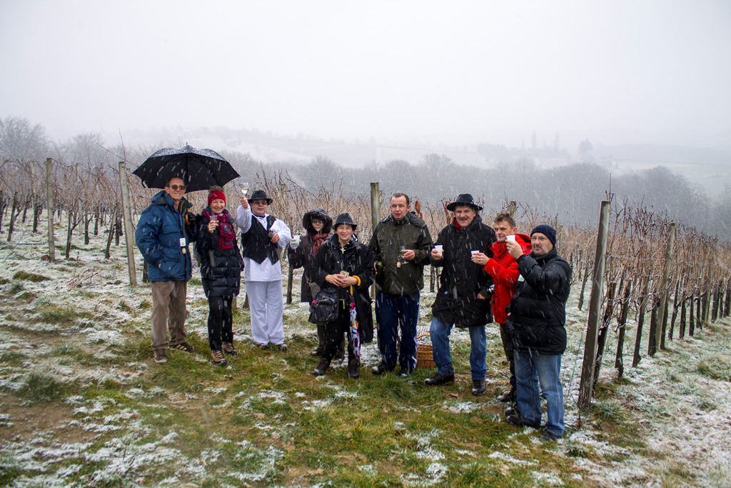 img8531vincekovo329297