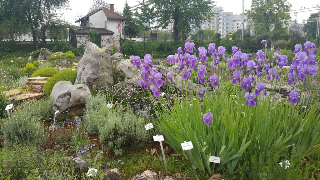 20160510133551103311