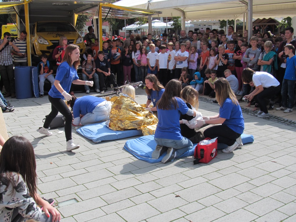 25509946img6069496038