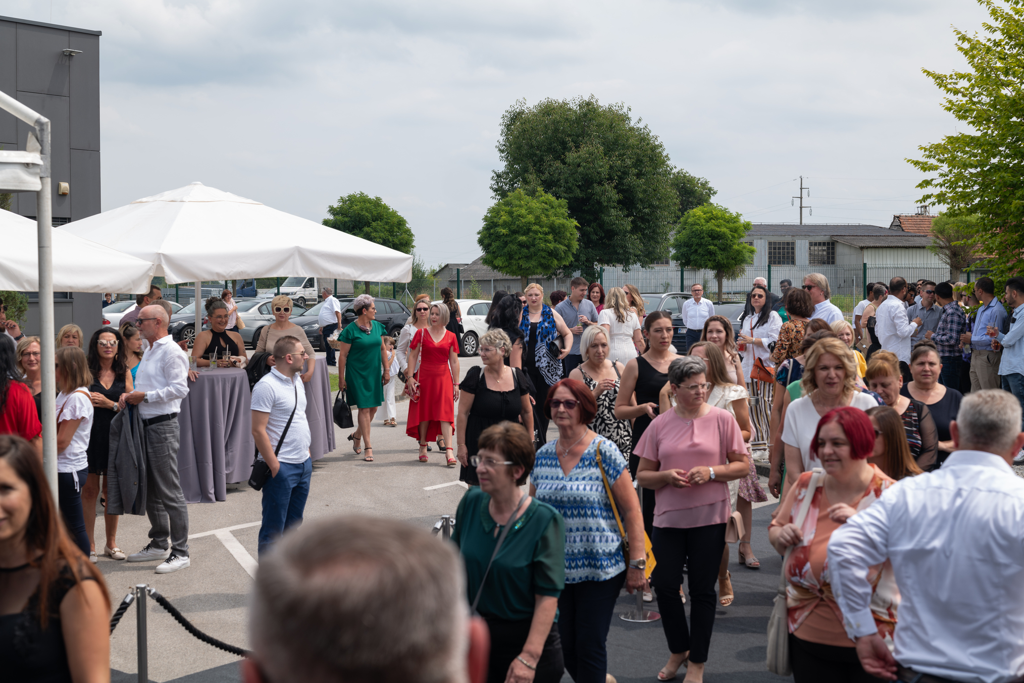 PROIZVODNJA PG PAUL GREEN 10 GODINA