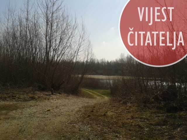 20150308113633978969