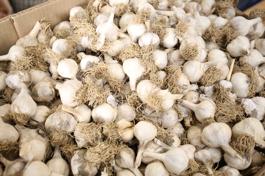 U Nedelišću otvorena sajamska priredba ‘Mesap jesen 2018.’