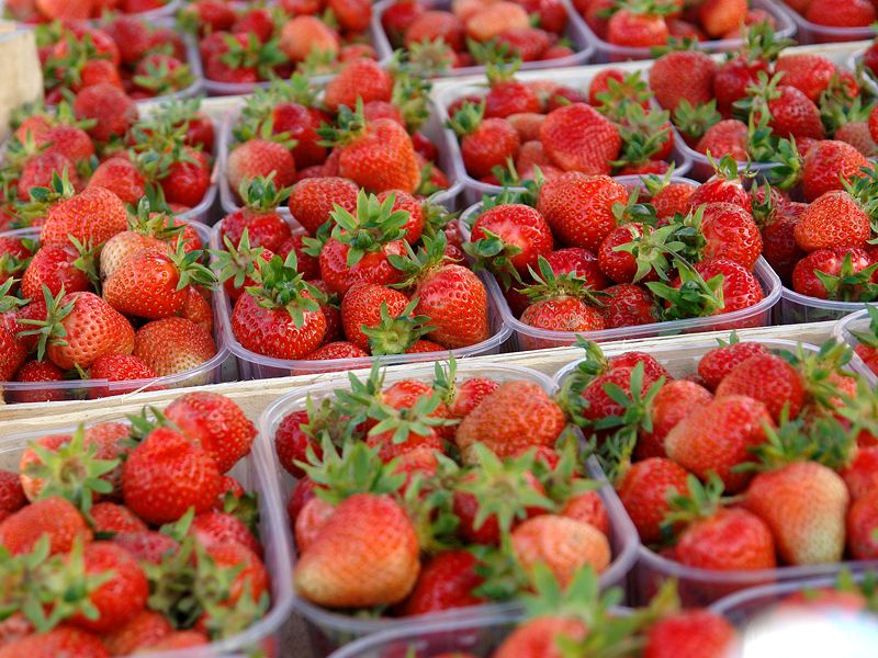 353815384dsc06255898063