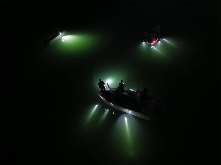 potraga,noć,pu međimurska, donji vidovec