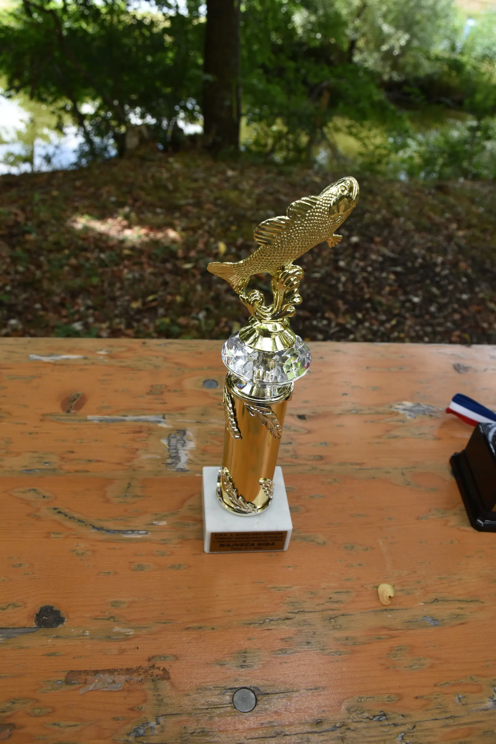 1. Memorijalni kup Predrag Jurčec, Draškovec, Tigrovi (10)