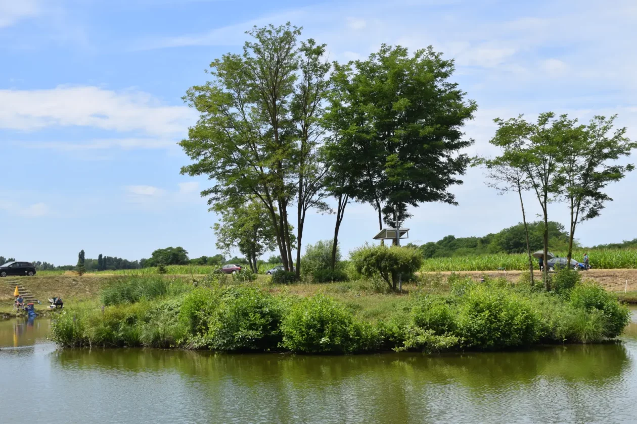1. Memorijalni kup Predrag Jurčec, Draškovec, Tigrovi (13) 1. Memorijalni kup Predrag Jurčec, Draškovec, Tigrovi (13)