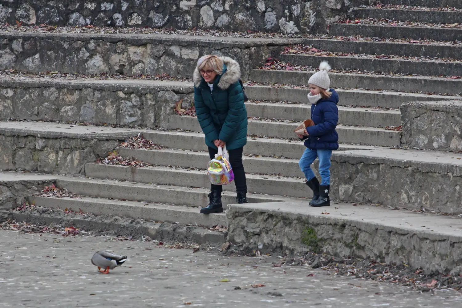 1.12. 2024. Klikom po Muri (1) 1.12. 2024. Klikom po Muri (1)