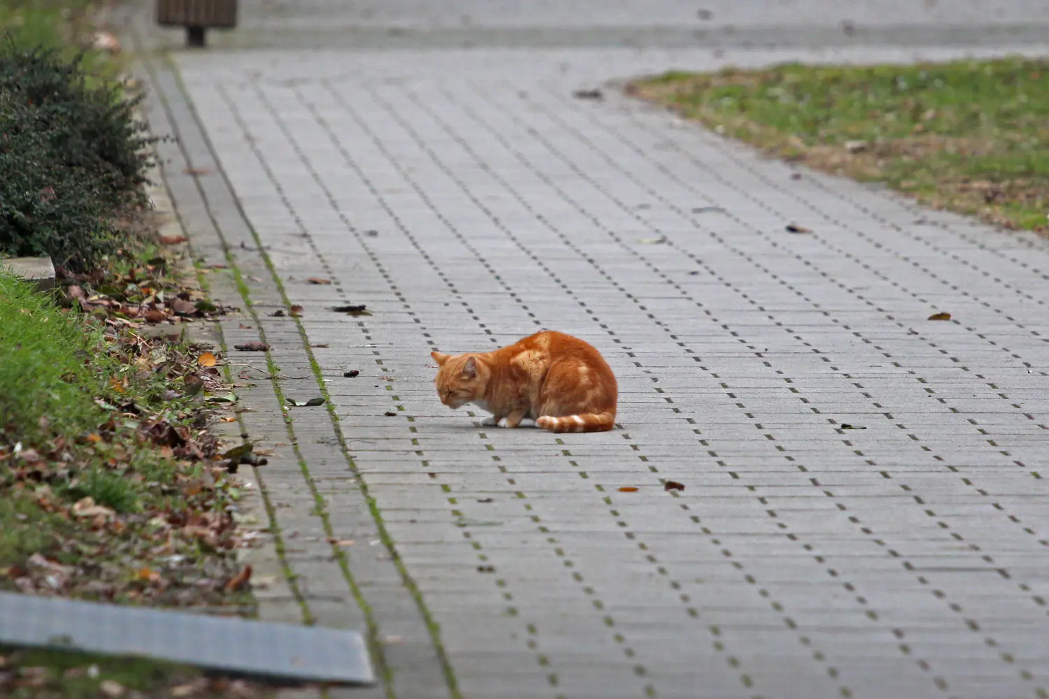 1.12. 2024. Klikom po Muri (5) 1.12. 2024. Klikom po Muri (5)