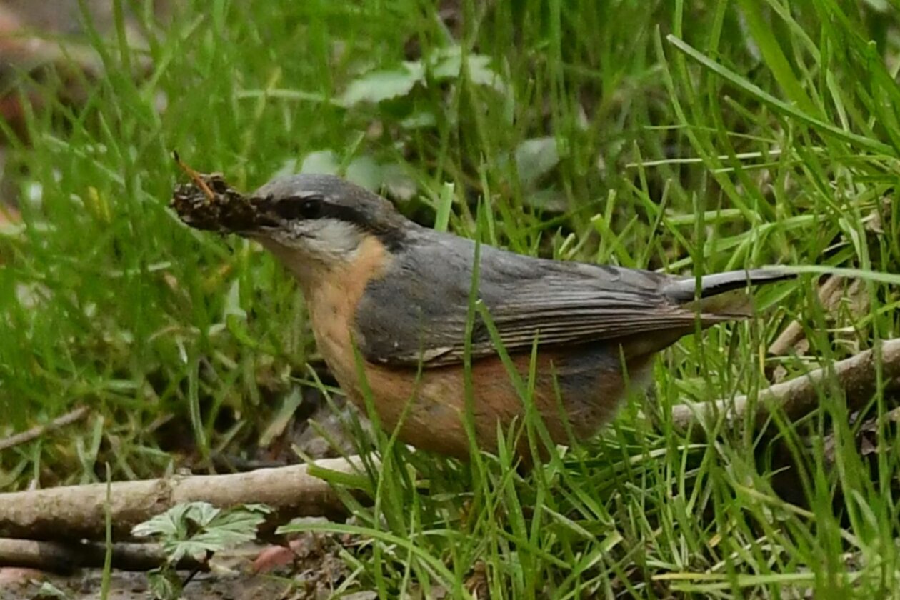 Priroda Danijel Mikolaj Priroda Danijel Mikolaj