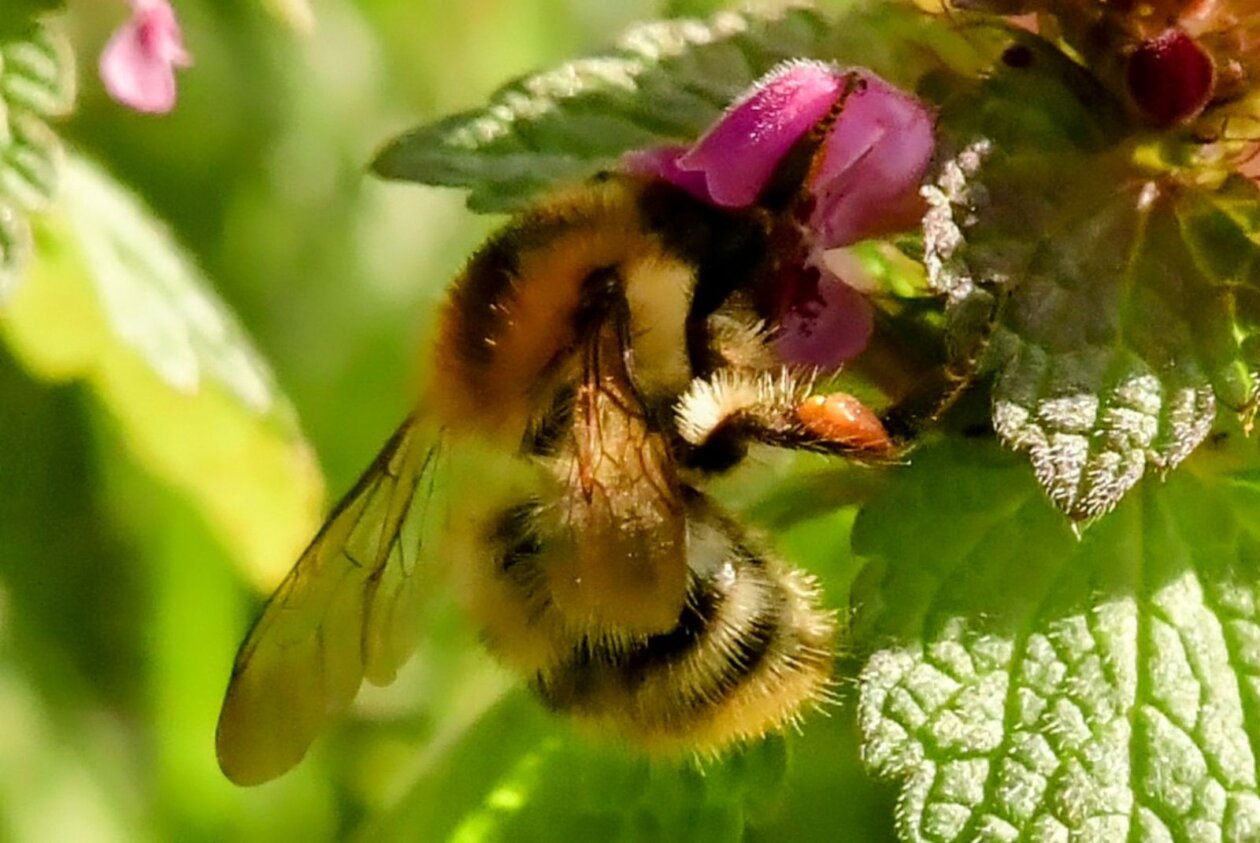 1000000309 1000000309