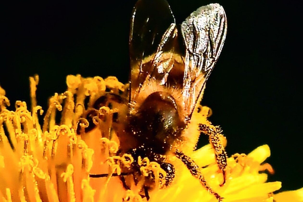 1000000329 1000000329