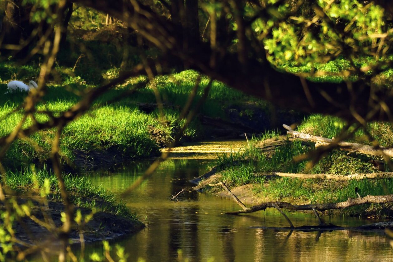 1000000390 1000000390