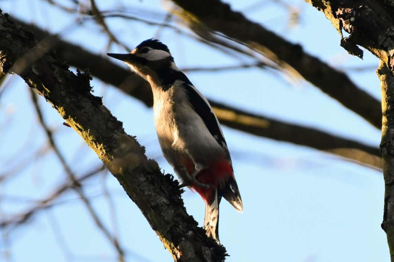 1000000392 1000000392