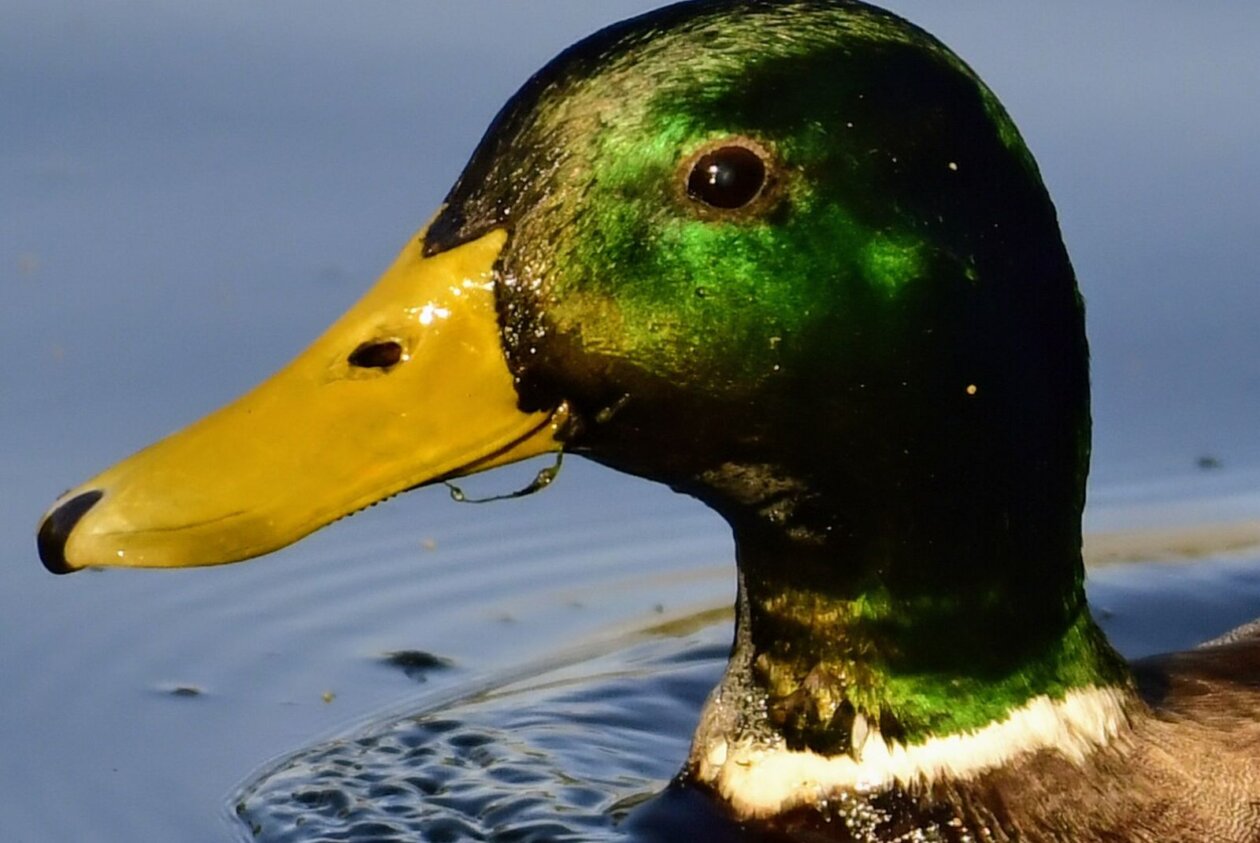 1000000396 1000000396