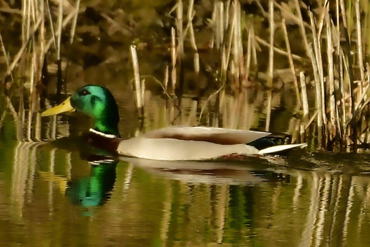 1000000406 1000000406