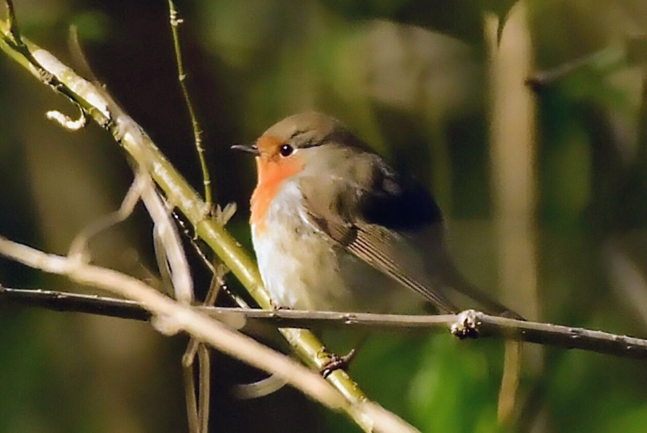 1000000419_1 1000000419_1