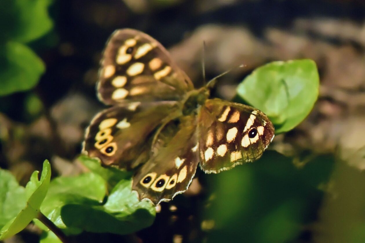 1000000427 1000000427