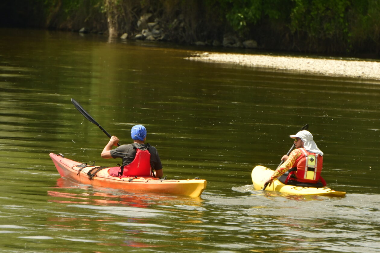 1000001824 1000001824