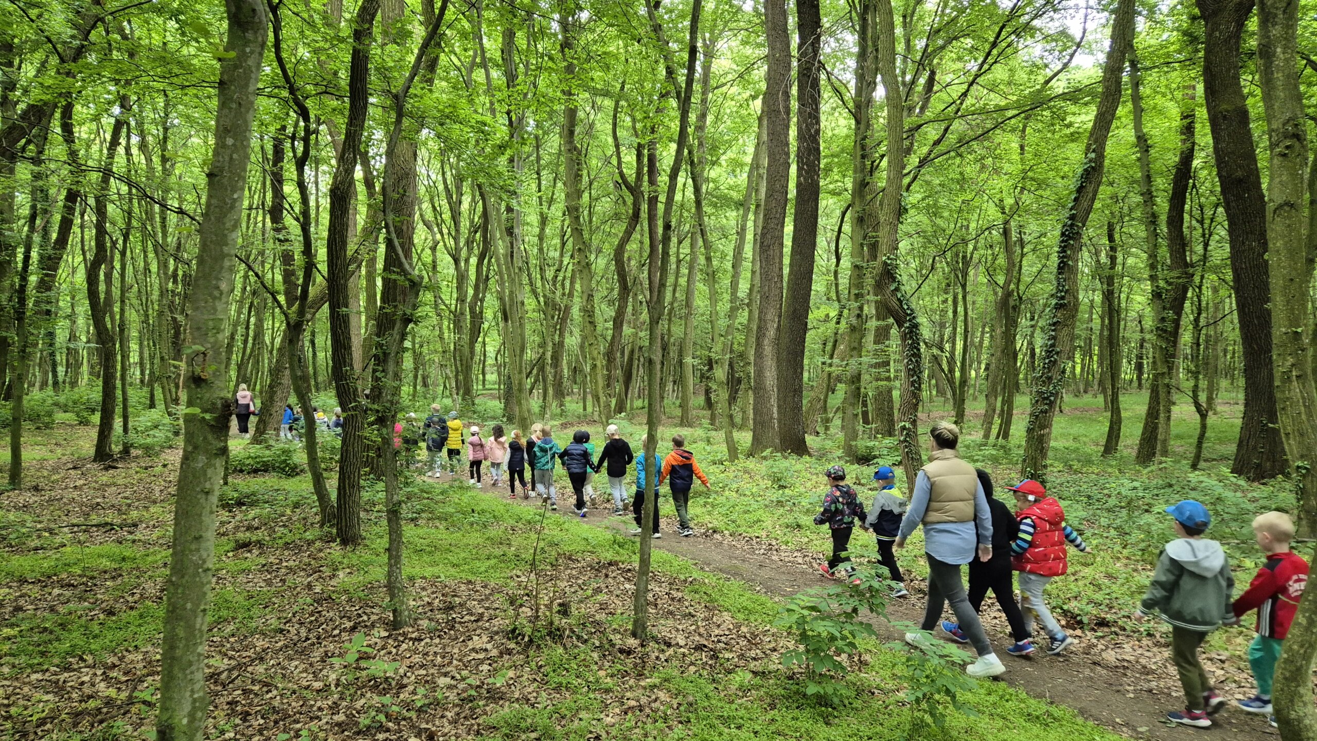 1000010763 (1) 1000010763 (1)