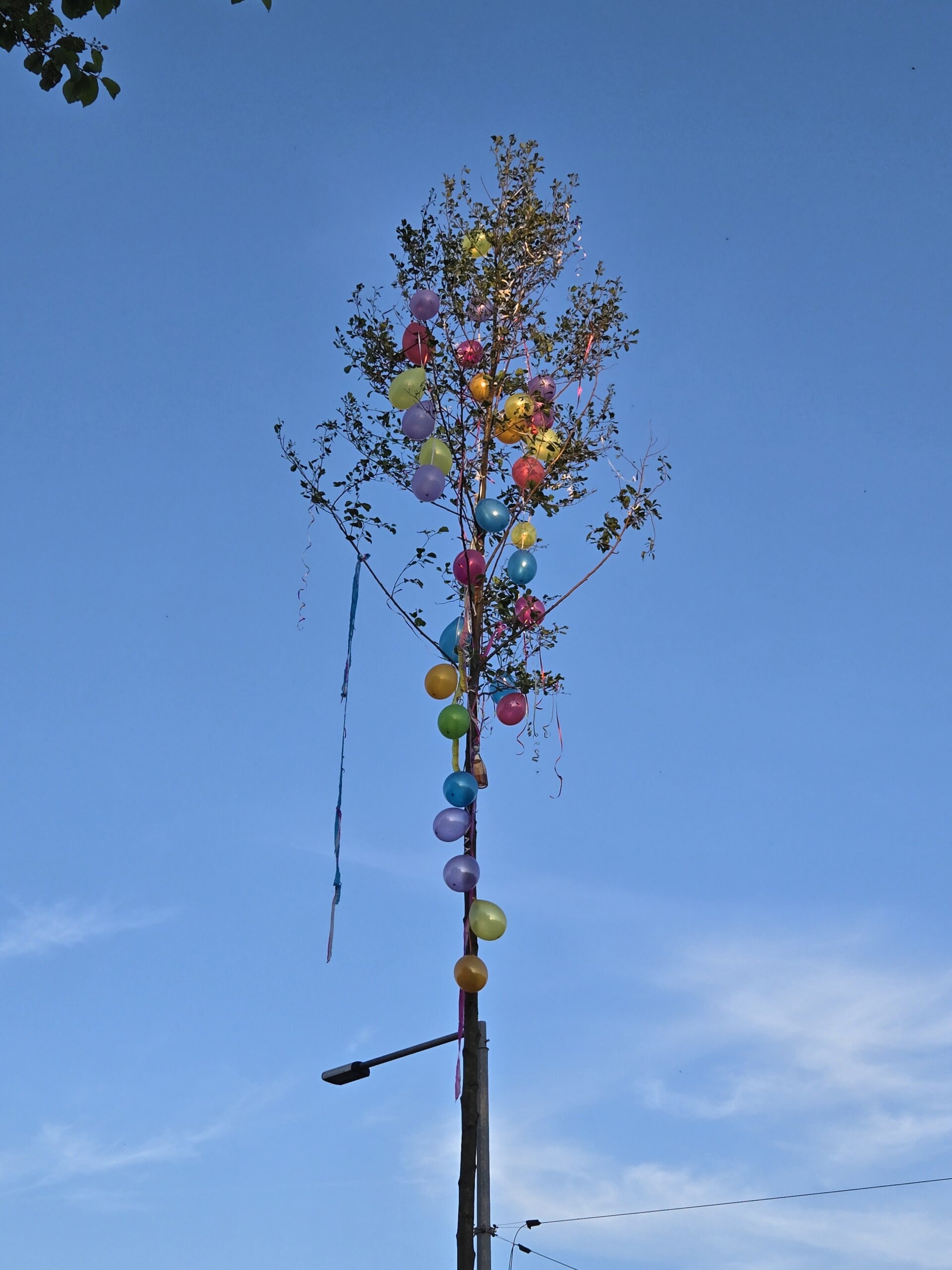 Majga u Otoku Majga u Otoku