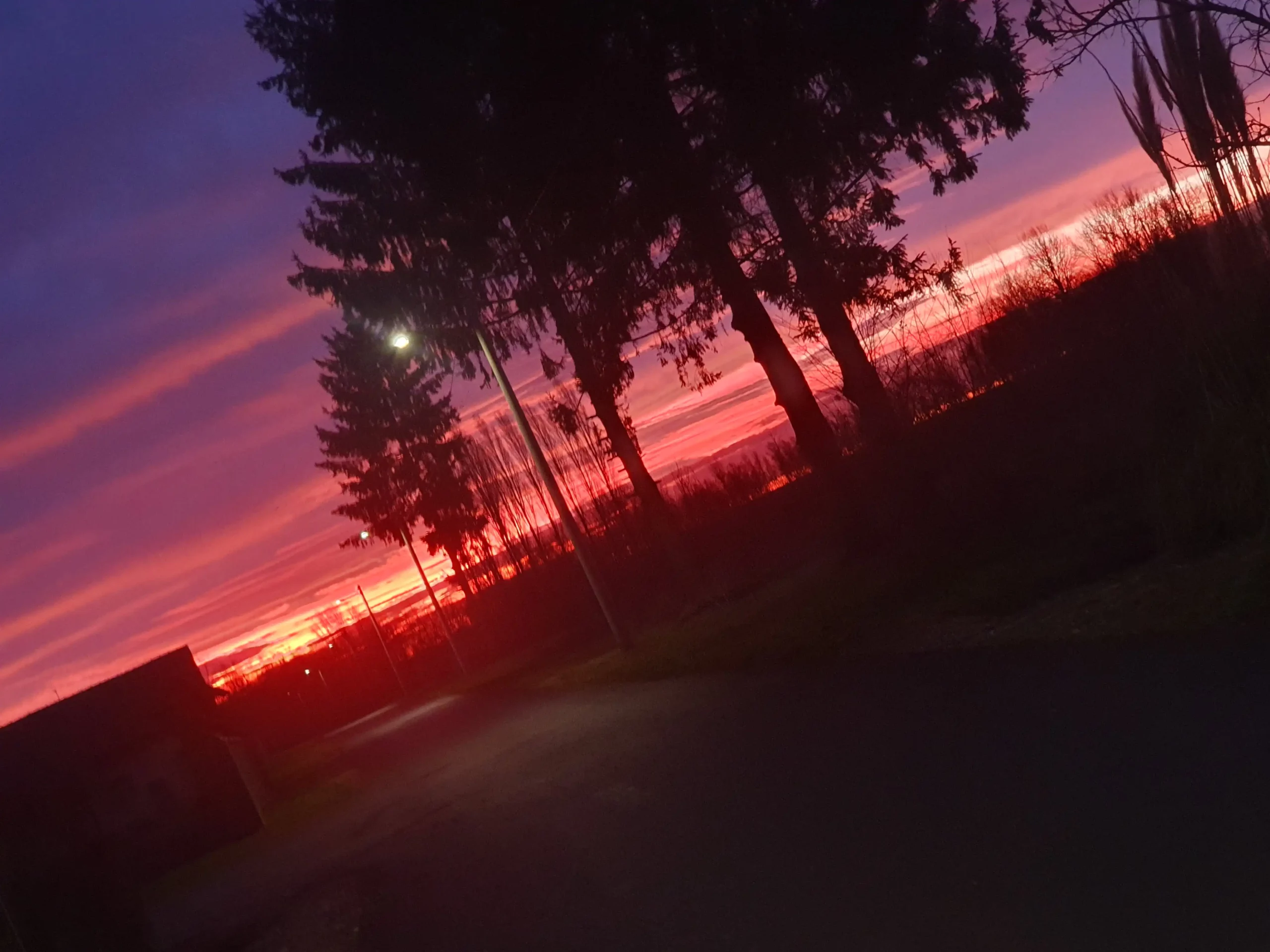 1000014115 1000014115