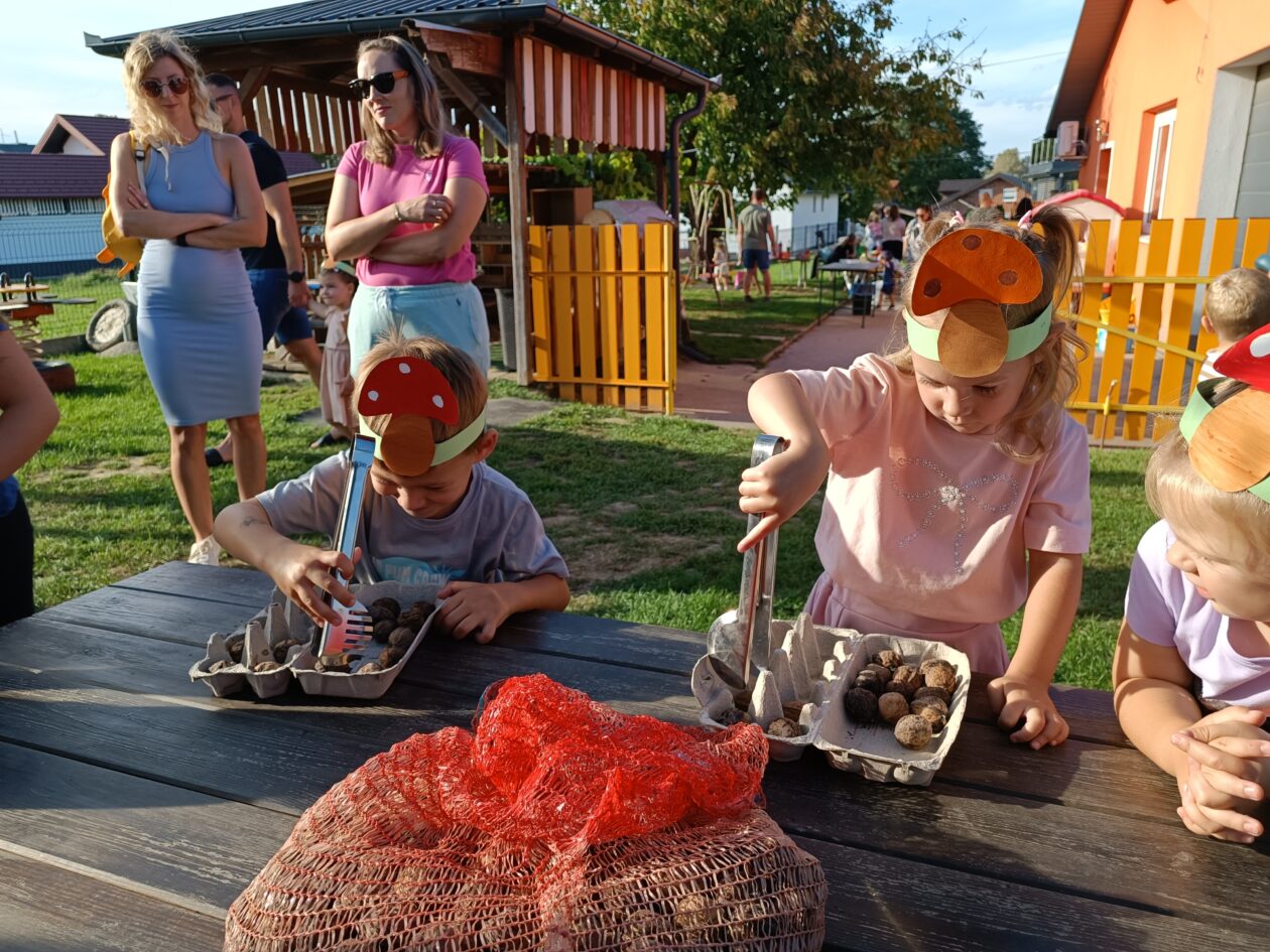 1000018524 1000018524