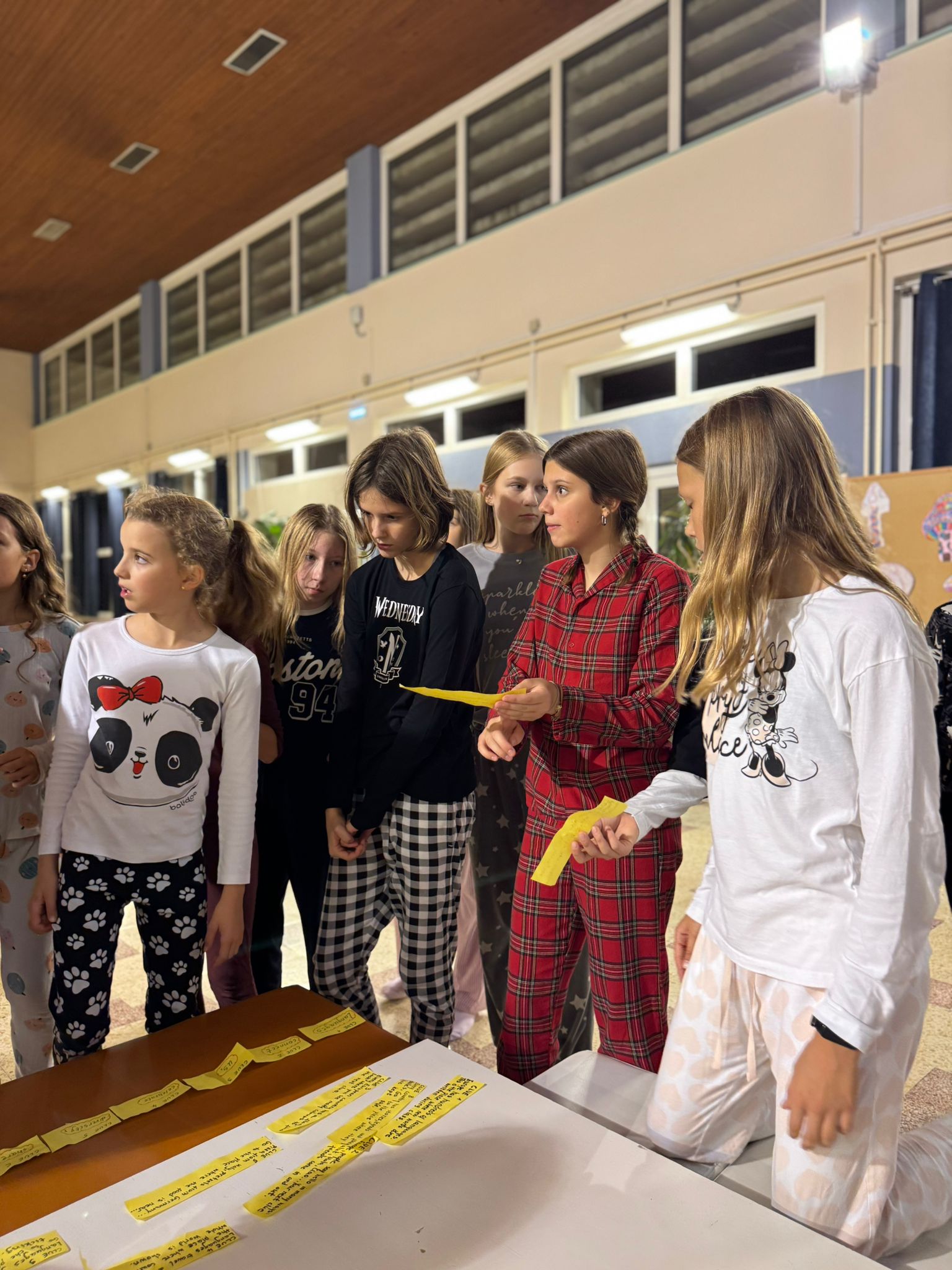 Prespavanac 3 OŠ Čakovec Prespavanac 3 OŠ Čakovec