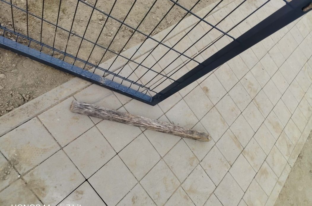 1000042572 1000042572